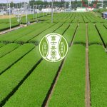 狭山茶処 富士美園 のショッピングページ（スマートフォン）